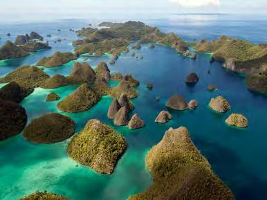 Nurkowanie w rejonie Raja Ampat jest niesamowite.