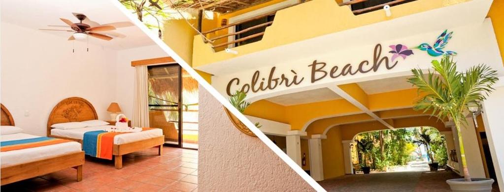 OPIS HOTELU COLIBRI BEACH Opis główny hotelu» Opis szczegółowy hotelu» Hotel Colibri położony jest tuż przy śnieżnobiałej plaży w Playa del Carmen!