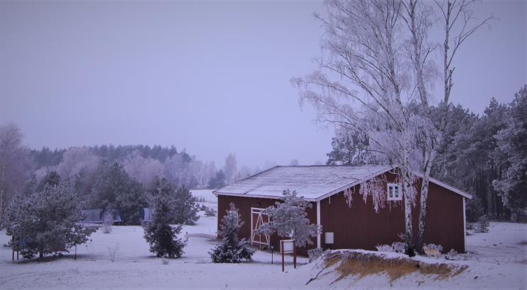 SPOTKANIE ZE ŚWIĘTYM MIKOŁAJEM I RENIFERAMI W NORWESKIEJ WIOSCE ARENDEL to jedyna w Polsce wioska norweska o niepowtarzalnej atmosferze.