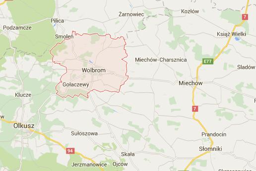 3. Analiza Gminy Wolbrom na tle powiatu i województwa Miasto i Gmina Wolbrom jest lokalnym ośrodkiem rolniczym, przemysłowym i handlowym obejmującym swoimi wpływami sąsiednie gminy: Żarnowiec Pilicę