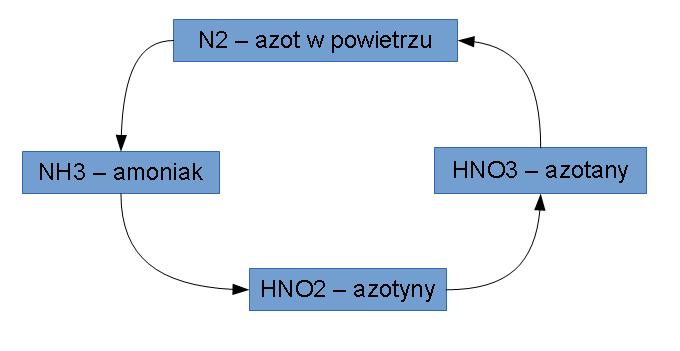 Azotyny Powstają przez niekompletne utlenienie amoniaku lub azotu organicznego, lub przez redukcję azotanów.