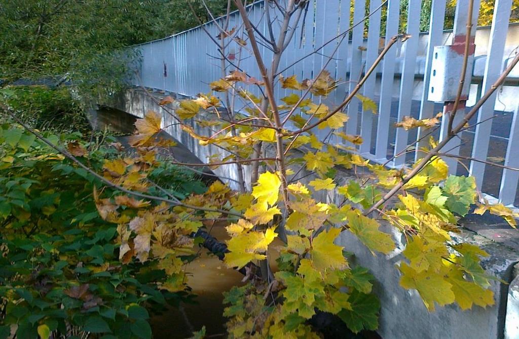 DOKUMENTACJA FOTOGRAFICZNA Z DNIA : 24.10. 2016r. 2 Zdj. nr 1. Widok mostu z boku - od strony dolnej wody.