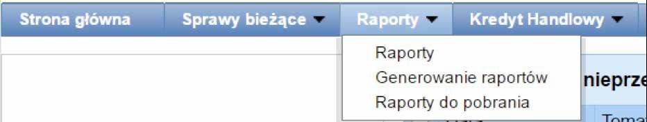 wprowadzenia parametrów raportu oraz konfiguracja listy kolumn mających pojawić się na raporcie; dolna część formatki to przyciski akcyjne, służące do wygenerowania raportu i jego przeglądania na