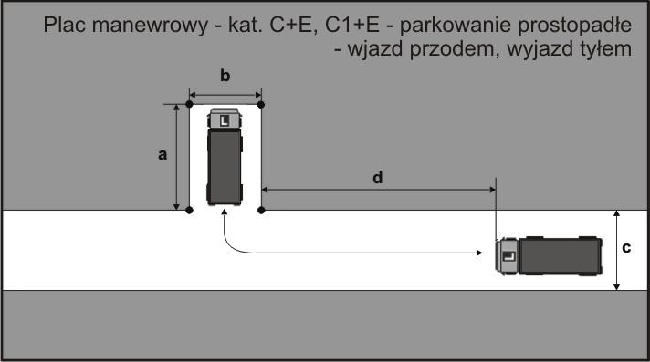 kierunkowskazem zamiaru zmiany kierunku jazdy w trakcie wykonywania zadania możliwa jest jedna korekta