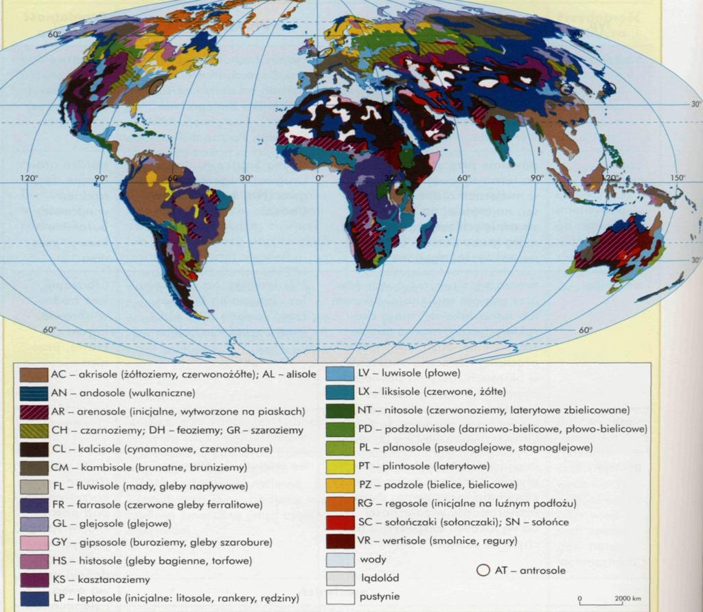 Systematyka gleb FAO/UNESCO (1974 r.