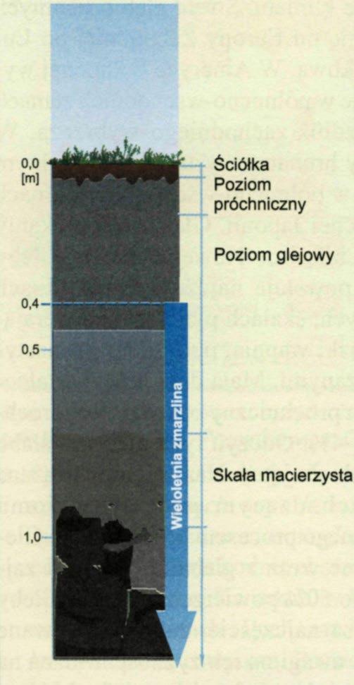 wykorzystywane są jako pastwiska dla reniferów) są prawie nieprzydatne (prowadzenie upraw, np.