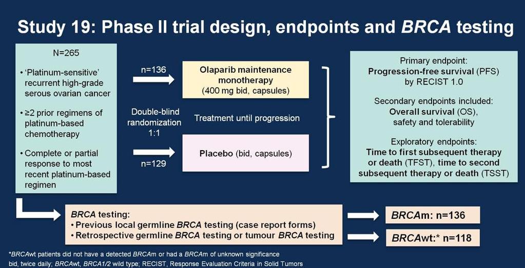 Study 19 Olaparib maintenance therapy in patients with platinum sensitive relapsed serous ovarian cancer:a