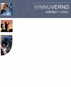 Ráðið verður til eins árs með möguleika á framlengingu. Reiknað er með að ungliðar hefji störf haustið 2007. Ungliðar eru starfsmenn S.þ. og fara launakjör eftir reglum samtakanna.