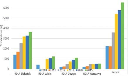 62 Piotr Wawrzyniak wydzielenia powyżej 20%, wyniosła w 4 RDLP (Białystok, Lublin, Warszawa, Olsztyn) 6 532,8 ha (rys. 3), z czego 55,8% tej wartości przypadało na RDLP Białystok.