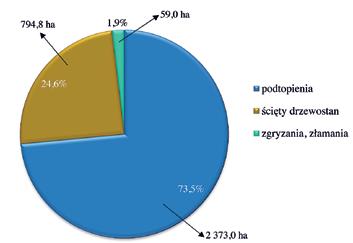 86 Czesław Hołdyński Rys. 7. Struktura szkód (ha) spowodowanych przez bobra europejskiego w nadleśnictwach RDLP Olsztyn w 2016 r.