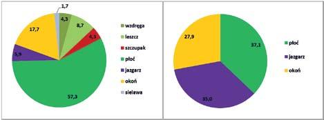 Skład pokarmu kormorana czarnego W sezonie 2015 w pokarmie kormorana czarnego z kolonii lęgowej usytuowanej nad jeziorem Sasek Wielki dominował lin (31,7%) przed płocią (26,6%) i okoniem (18,9%).