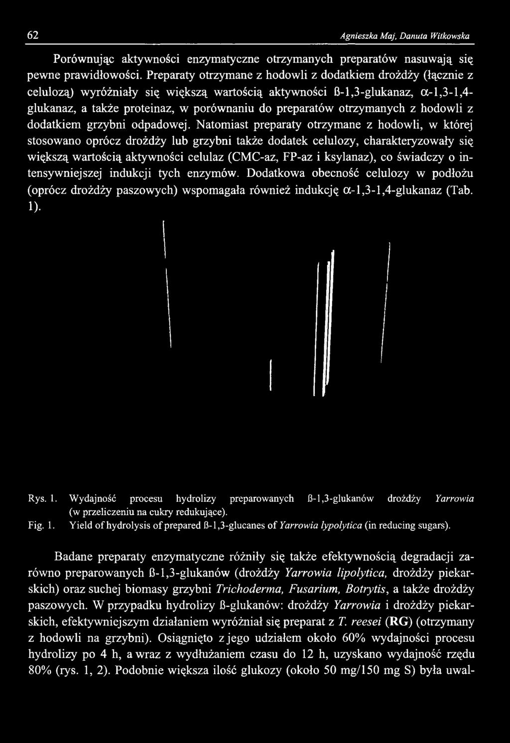 świadczy o intensywniejszej indukcji tych enzymów. Dodatkowa obecność celulozy w podłożu (oprócz drożdży paszowych) wspomagała również indukcję a-l,3-l,4-glukanaz (Tab. I) Rys. 1.