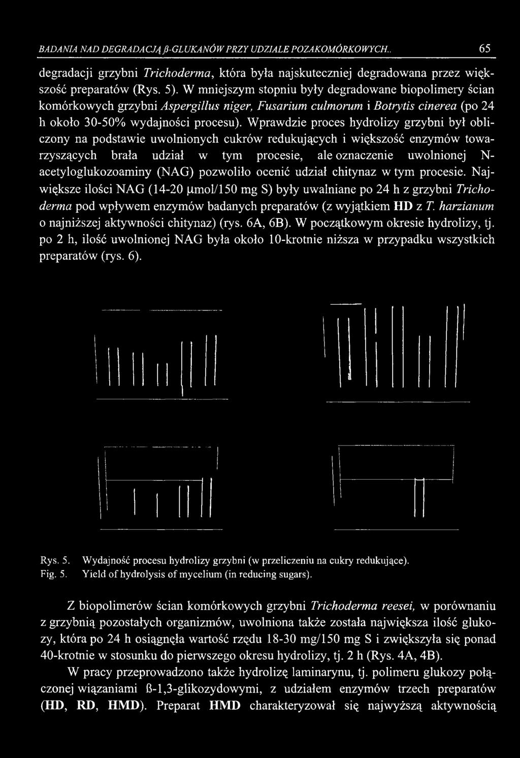 Wprawdzie proces hydrolizy grzybni był obliczony na podstawie uwolnionych cukrów redukujących i większość enzymów towarzyszących brała udział w tym procesie, ale oznaczenie uwolnionej N-