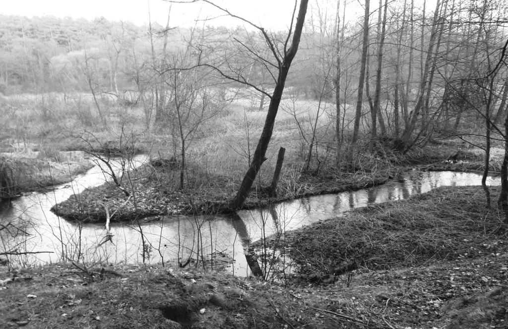 Zadanie 8 (1 p.) Fotografia przedstawia działalnośd rzeźbotwórczą rzeki. Zaznacz właściwe dokooczenie zdania (A lub B ) oraz prawidłowe uzasadnienie (1 lub 2). A. B. Erozja wsteczna Erozja boczna to proces 1.