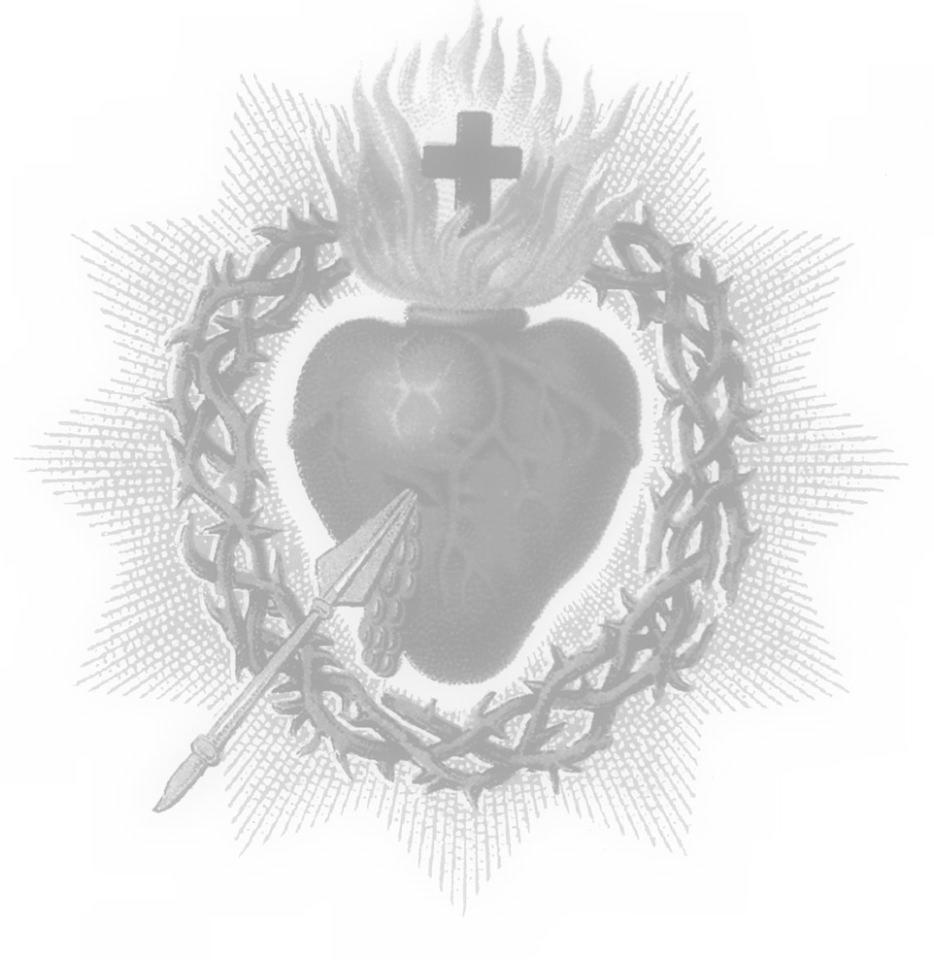 Nowy Testament używa jakby tej samej symboliki dotyczącej serca, co Stare Przymierze, ale jeszcze bardziej ją rozwija.