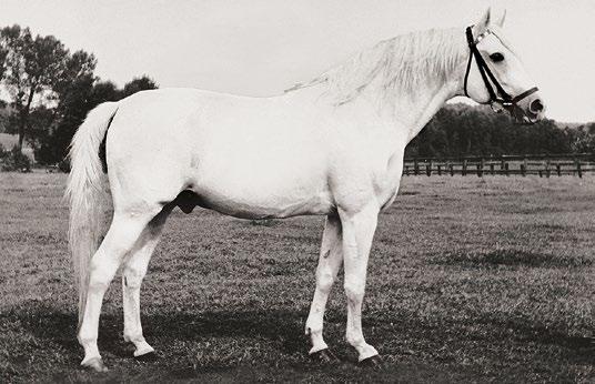 W 1966 roku Poprad rozpoczyna pod Piotrem Wawryniukiem swoją wielką karierę sportową ze startami na dwóch olimpiadach, zdobywa medal w Mistrzostwach Polski, uczestniczy w wielu