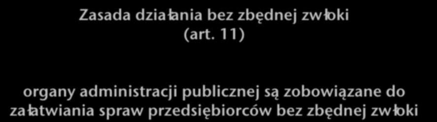 Zasada działania bez zbędnej zwłoki (art.