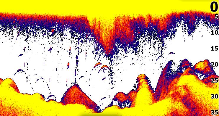 Obsługa sonar Niebieski pasek historii pracy sonaru Urządzenie obsługuje dwa rodzaje sonaru: W technologii konwencjonalnej i Downscan.