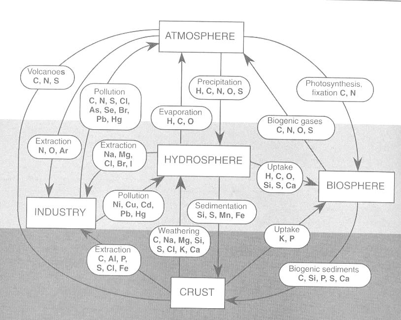 antropogeniczne abiotyczne biotyczne