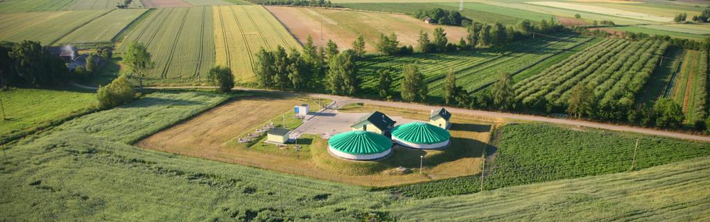 PROGNOZA ODDZIAŁYWANIA NA ŚRODOWISKO Strategii i Programu Rozwoju Gminy Kurów Prognoza oddziaływania na