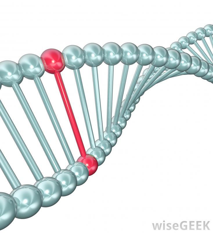 Mutacje Mutacja to zmiana sekwencji nukleotydowej cząsteczki DNA, a przez to informacji