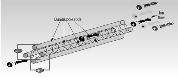 Analizator kwadrupolowy (filtr