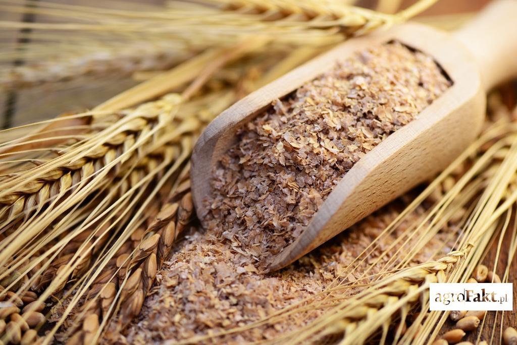 https://www. Standardowo stosowanym surowcem w mieszankach dla loch prośnych są otręby pszenne. Jednakże, aby osiągnąć w mieszance poziom 8,5% włókna, należy wprowadzić do niej ok. 25% otrąb.