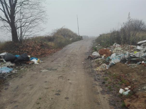 Olsztyńskiej, stanowiącej drogę asfaltową.