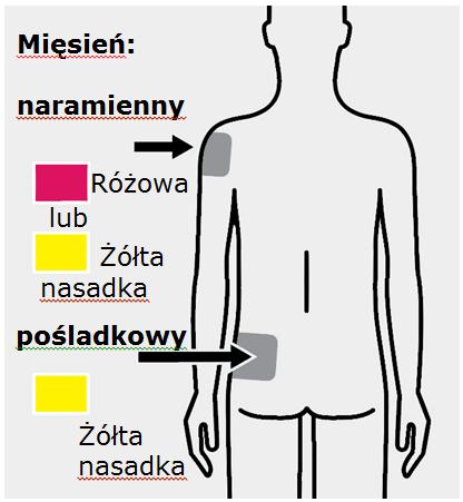 3 Wstrzyknięcie Podać dawkę leku nasadka nasadka Wstrzyknąć całą zawartość ampułkostrzykawki powoli,