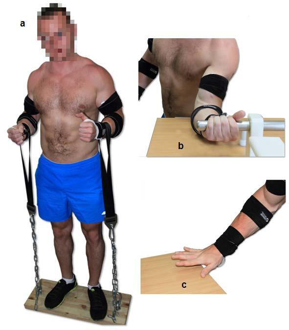 Ocena obciążenia mięśni kończyny górnej podczas użytkowania rękawic ochronnych.