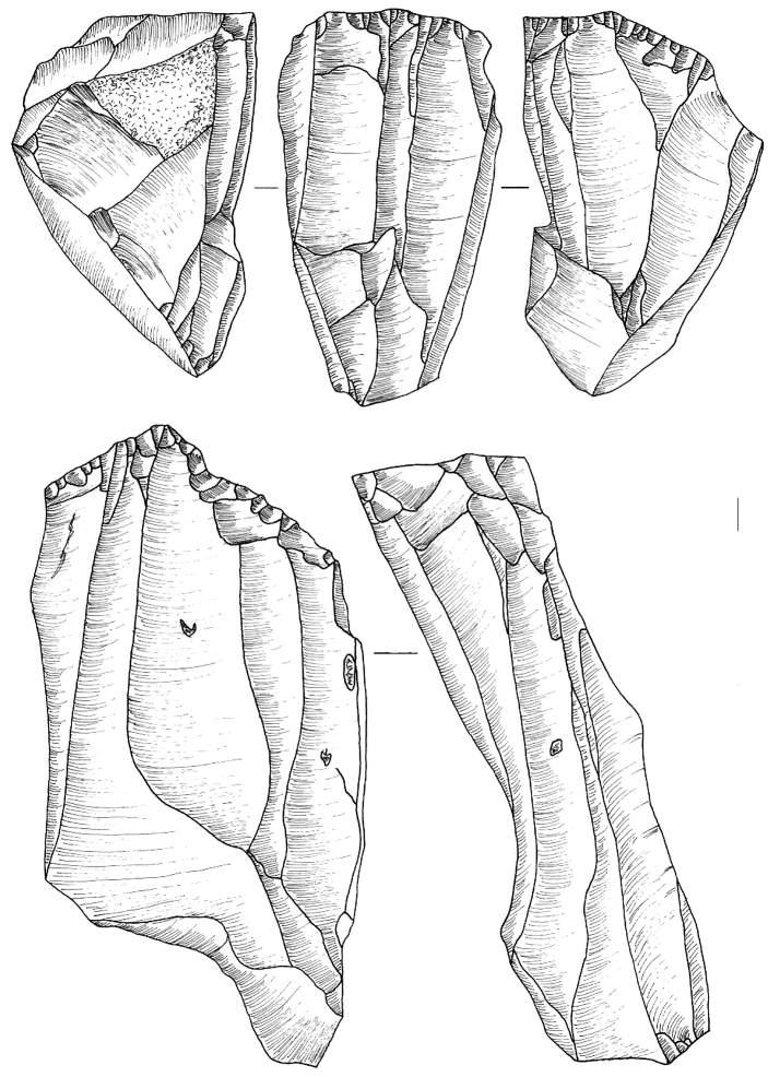 Ryc. 10. Bolków 1, wykop II, krzemienice 1 i 2. Rdzenie. Rys. T. Galiński Fig.