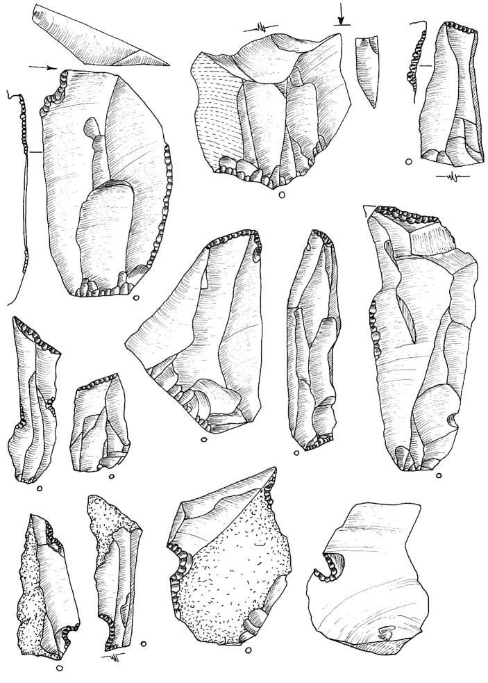 Ryc. 16. Bolków 1, wykop II, krzemienica 1. Rys. T. Galiński 1, 2 rylce; 3 8 półtylczaki; 9 12 wnęki Fig. 16. Bolków 1, trench II, flint scatter 1.