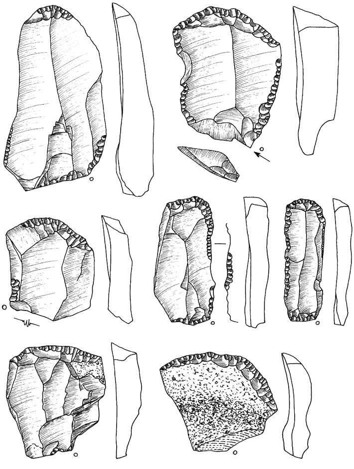 Ryc. 29. Bolków 1, wykop III, krzemienica 3. Rys. T. Galiński 1, 3 7 drapacze; 2 drapacz zdwojony z rylcem Fig. 29. Bolków 1, trench III, flint scatter 3.