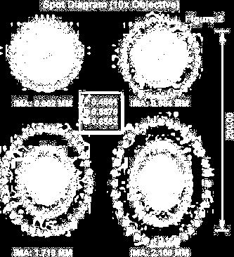 light to generate a