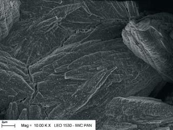 SEM picture of the catalytic active surface of catalyst with platinum content 2g for dm 3 catalyst with platinum content 2,5g for dm 3 Wida na nich, e powierzchnia reaktora o adunku 2 g Pt na dm 3