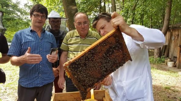 pszczołami i z czerwiem (zgodnie z metodyką prowadzenia oceny tej populacji).