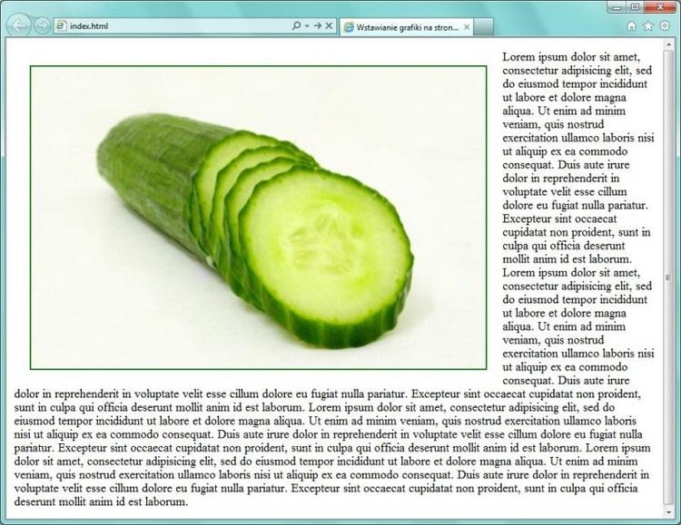 Wstawianie grafiki na stronę WWW Twoim zadaniem będzie: wstawienie pliku graficznego na stronę internetową, ustawienie obramowania