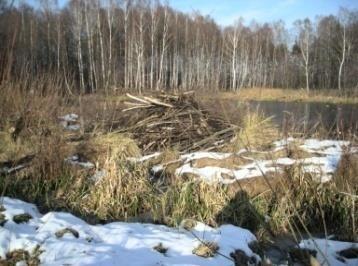 wycieczki realizowane są miedzy innymi