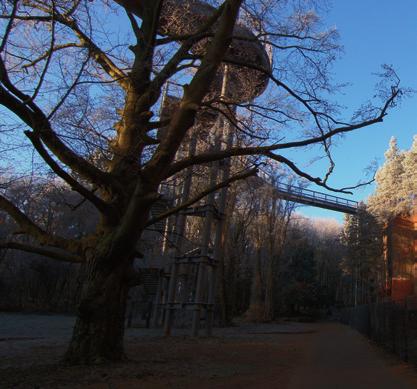 ZWIEDZANIE Z PRZEWODNIKIEM BUDYNKÓW ZAKŁADÓW LECZNICZYCH W BEELITZ Codzienność w zakładzie leczniczym w Beelitz wycieczka po trzech różnych budynkach historycznych ) W