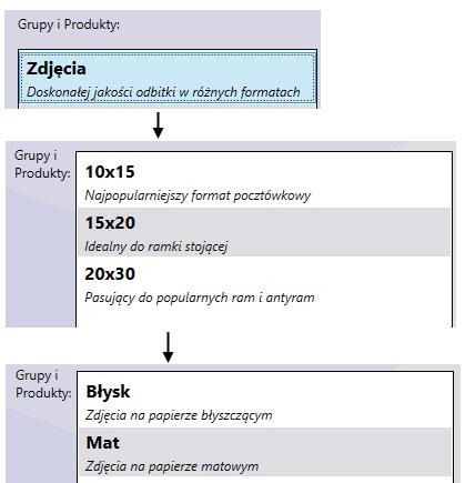 Grupa produktów oznacza, że w jej zakresie mieszczą się pewne podkategorie (podprodukty).