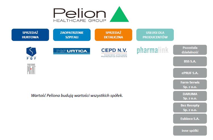 1. Charakterystyka Spółki Przedmiot działalności i organizacja Spółki Spółka Pelion S.A. jest spółką holdingową, która koordynuje działalność podmiotów wchodzących w skład Grupy Kapitałowej Pelion.