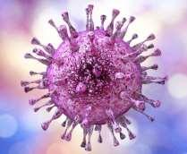 Cytomegalowirus Potwierdzenie zakażenia u płodu - diagnostyka inwazyjna: Amniopunkcja - pierwotnym miejscem replikacji wirusa u płodu jest nerka Kordocenteza - NIE IgM tylko u 60%