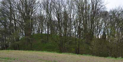 395 Położenie grodziska i jego forma Dariusz Wach Grodzisko w Zajączkach, st. 1 usytuowane jest w obrębie Parku Krajobrazowego Wzgórz Dylewskich, nad rzeką Gizelą (ryc. 1-2).