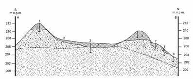 397 Ryc. 8.. Plan warstwicowy grodziska (wyk. J. Błaszczyk) z zaznaczonymi miejscami wierceń geologicznych (oprac. J. Nitychoruk i F. Welc) Ryc. 7. Mapa geologiczna okolic grodziska w Zajączkach, st.