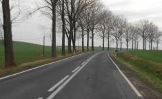 niezgodność cech drogi z limitem prędkości Nieprawidłowe zakończenie bariery Drzewa przy krawędzi jezdni od 0-3 m Czas reakcji natychmiastowe, w ostateczności stosowanie rozwiązań tymczasowych, jak