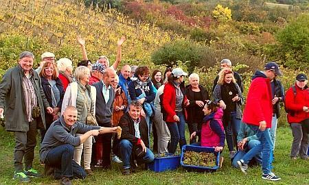 W ramach promocji szlaku winnego "Tokaj - Stara Lubowla - Muszyna" członkowie i sympatycy SPAM zbierali winogrona w winnicy Vinnai, w Tarcal koło Tokaju.