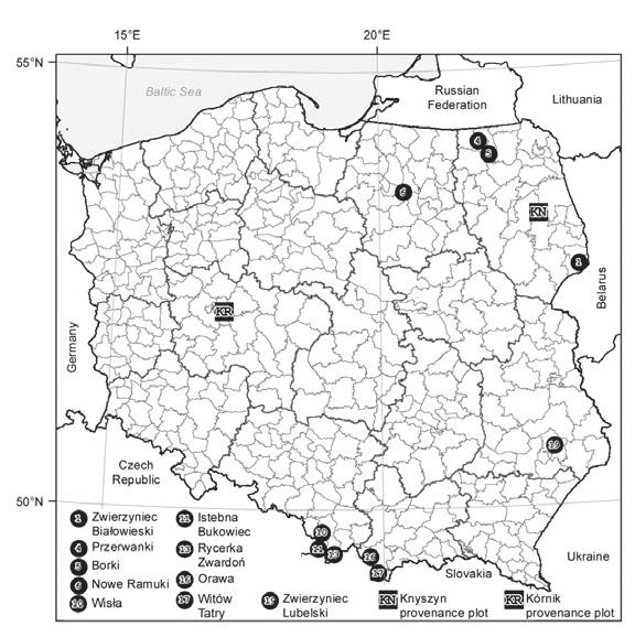 snego i przejściowego, wyraźnie zaznacza się w warunkach deficytu wodnego wywołanego suszą oraz wysoką temperaturą (Rozenberg i in. 2002).