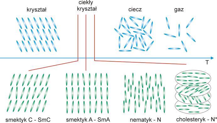 1.2. Liotropowe ciekłe kryształy Stan ciekłokrystaliczny występuje także w roztworach koloidalnych związków amfifilowych, wirusów mozaiki tytoniowej oraz polipeptydów [2].