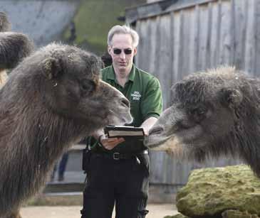 20 A PROPOS... W londyńskim zoo rozpoczął się roczny spis zwierząt Fot. EPA-ELTA Królowa Szwecji mieszka w pałacu z... duchami!