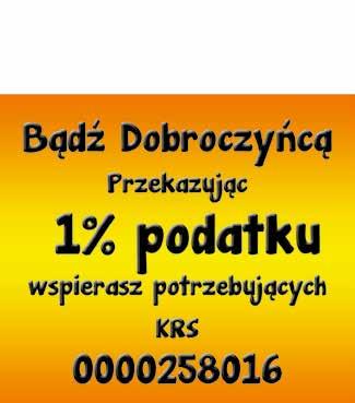 Przygotowana prezentacja multimedialna objęła zakres spraw związanych z bilansem finansowym gminy, a także sprawy społeczne, mieszkaniowe i gospodarcze.